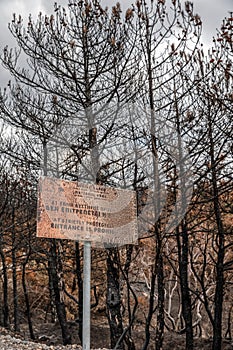 Dadia forest Restoration and Regrowth After Wildfire Evros Greece, mount Parnitha, Rodopi, Euboea Island, Evia, British