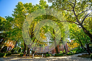 DAEGU, SOUTH KOREA - NOVEMBER 4, 2019: Classic building at Keimyung University in Daegu, South Korea. Keimyung University was