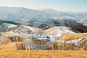 Daegwallyeong sheep ranch winter mountain in Pyeongchang, Korea