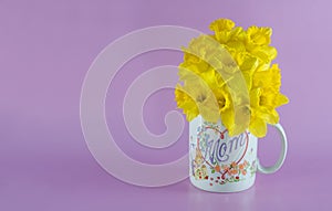 Daffodil Bouquet in Mom Coffee Mug on Pink Background