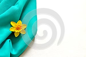 Daffodil - emblem of Wales, UK