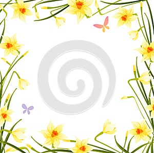 Daffodil frame