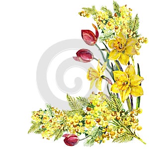 Narcis mimóza tulipán květiny roh akvarel vzor 