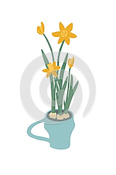 Daffodil, spring flower vector illustration with bulbous blossom narcissus growing in ceramic mug