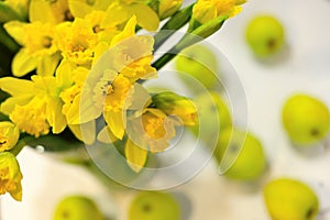 Daffodils and apples photo