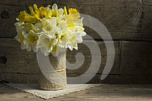 Daffodils background