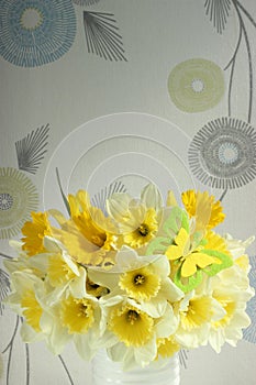 Daffodils background