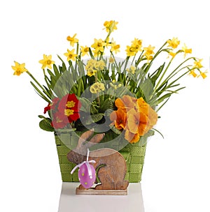 Daffodils in basket