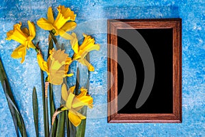 Daffodils and chalk board on a blue bright background. Top view. Copy space