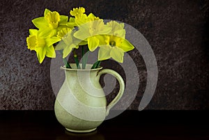 Daffodils in an Earthenware Wine Jug on a Wooden Table Top