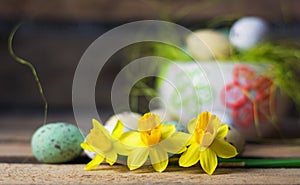 Daffodils and Easter Eggs