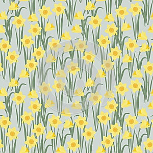 Daffodils flower seamless pattern vector