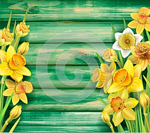 Daffodils flowers on the wooden background