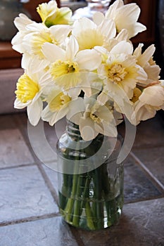 Daffodils in Jar