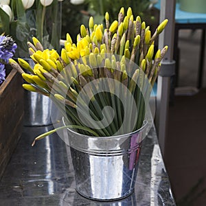 Daffodils in wooden basket