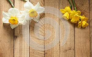 Daffodils on wooden boards