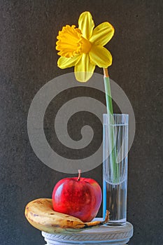 Dafodil arrangement with apple