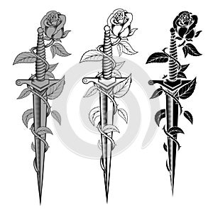 Dagger with rose in black and white photo