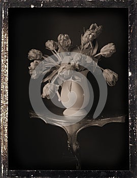 Dagguereotype Still-Life