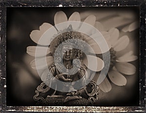 Dagguereotype Still-Life