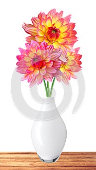 Dahlia Autumn flowers in vase isolated on white