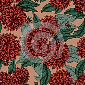 Dahlia colored pattern