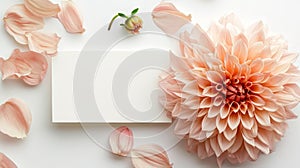 Dahlia Flower with blank card in Peach Fuzz