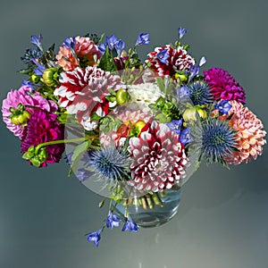 Dahlia flower bouquet with blue thistles and African lilies in vibrant colors, summer flowers in arrangement.