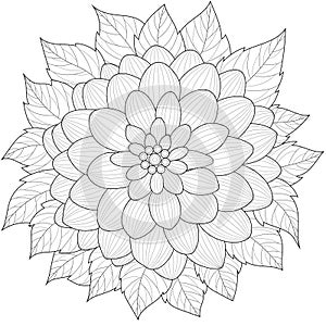Dahlia flower.Coloring book antistress for children and adults