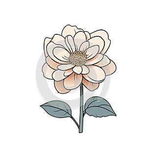 Dahlia flower icon over white background, colorful design