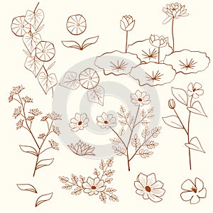 Dahlia Lotus Periwinkle Morning Glory Cosmos Flower Floral Leaf Outline Decoration Element