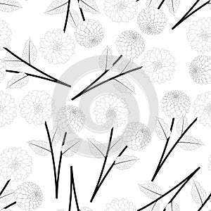 Dahlia Outline Seamless Background. Mexico`s national flower. Vector Illustration photo