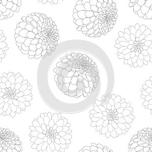 Dahlia Outline Seamless Background. Mexico`s national flower. Vector Illustration photo