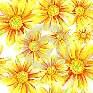 Dahlia watercolor hand paint flowers, seamless pattern