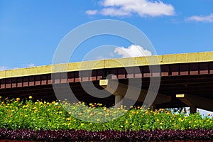 DAIA viaduct, on highway BR-060, in AnÃÂ¡polis. photo