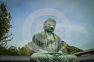 Daibutsu, Amida Buddha at KÃÂtoku-in, Kanagawa, Japan.