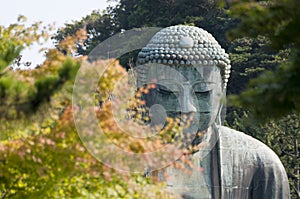 Daibutsu or Budha Amida in Kotokuin