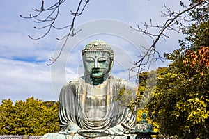 Daibutsu or Great Buddha of Kamakura in Kotokuin Temple at Kanagawa Prefecture Japan with leaves changing color