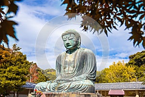 Daibutsu or Great Buddha of Kamakura in Kotokuin Temple at Kanagawa Prefecture Japan with leaves changing color