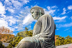 Daibutsu or Great Buddha of Kamakura in Kotokuin Temple at Kanagawa Prefecture Japan with leaves changing color