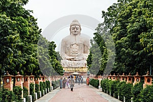 Daibutsu, The Great Buddha Statue in meditation pose or Dhyana Mudra seated on a lotus in open air with trees in foreground.