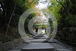 Daidokoro-Zaka Slope and autumn leaves in Kodaiji Temple, Kyoto, Japan