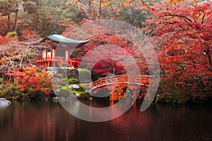 Daigo-ji temple in autumn