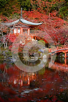 Daigo-ji temple with colorful maple in autumn