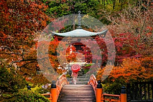 Daigo-ji temple with colorful maple trees in autumn, Kyoto