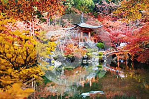 Chrám farbistý javor stromy v jeseni kjóto 