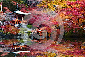 Daigo-ji temple with colorful maple trees in autumn, Kyoto, Japan