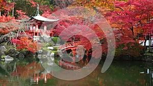 Daigo-ji temple with colorful maple trees in autumn, Kyoto, Japan