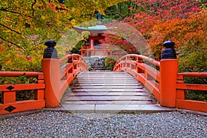 Daigo-ji temple with colorful maple trees in autumn, Kyoto