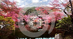 Daigo-ji temple with colorful maple trees in autumn, Kyoto, Japan